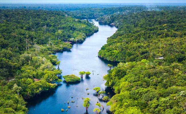 Climate Project pics - rainforest